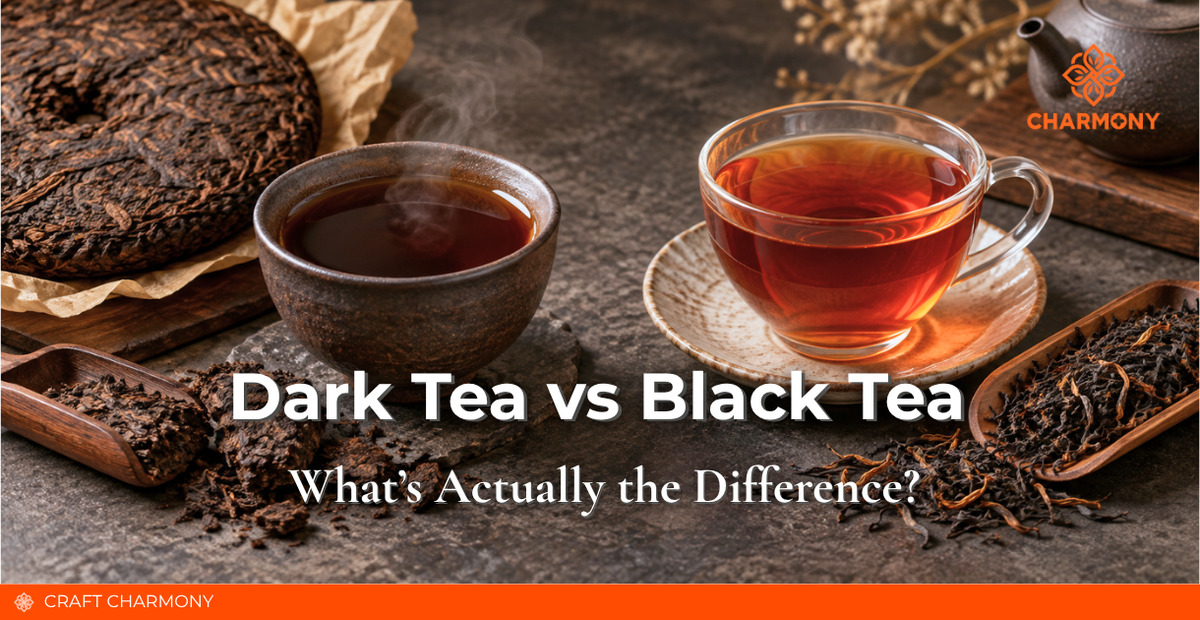 Dark Tea vs Black Tea: What’s Actually the Difference?