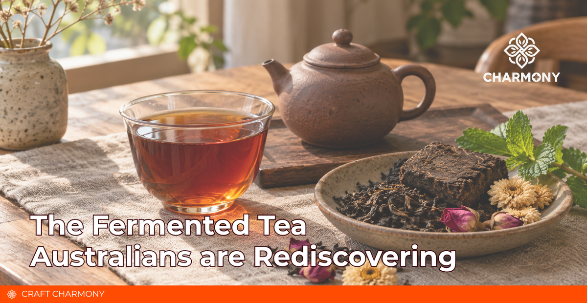 The Fermented Tea Australians are Rediscovering
